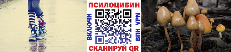 мега сайт  Каргополь  Галлюциногенные грибы Psilocybine cubensis  купить наркотики сайты 